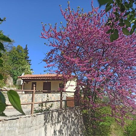 Forestrock Studio For Sale Too EEsparta Exterior foto